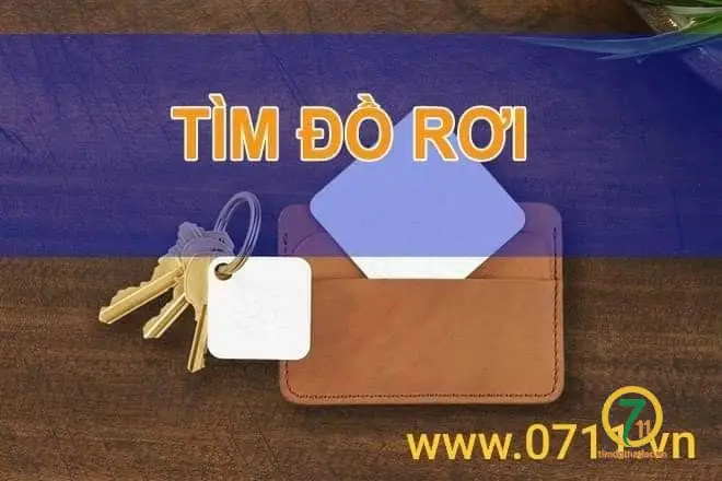 Rơi chìa khoá có treo ví ở Hồ Chí Minh tên Nguyễn Đức Phương 1983
